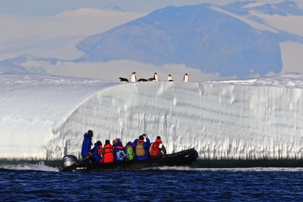 Zodiac cruising around icebergs and Edelie Penguins