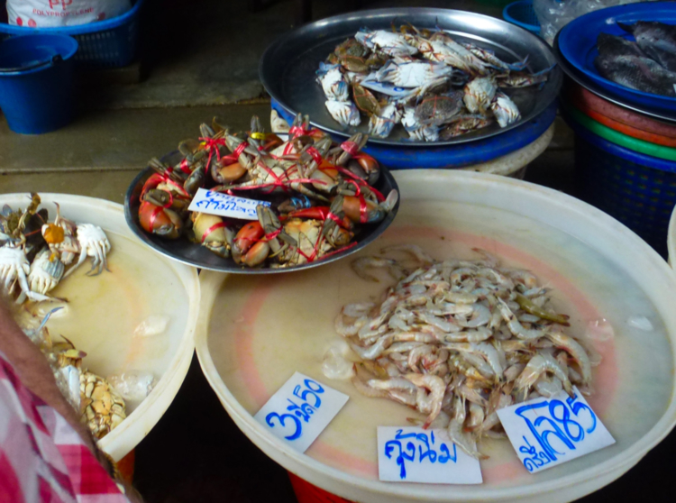 Seafood for sale at the market