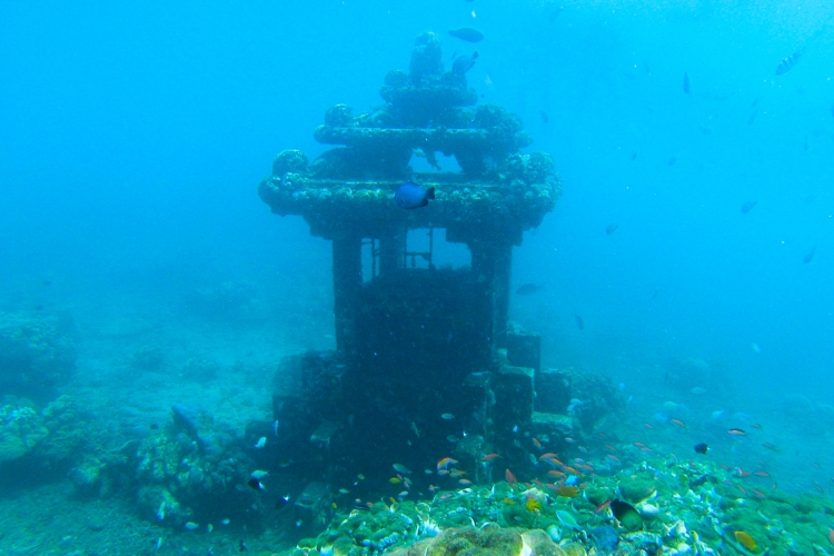 Free diving Ahmed, Bali
