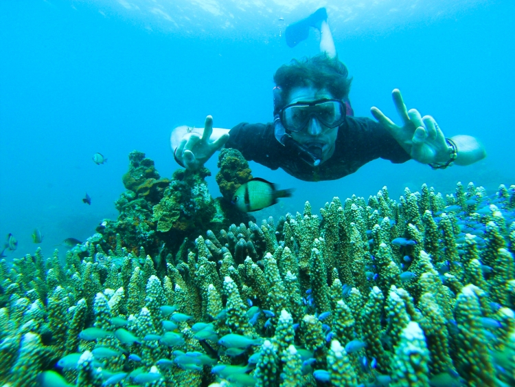 Free diving Gilli Air, Lombok
